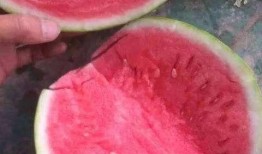 10月新瓜最新爆料,娱乐圈风云再起，神秘事件引热议